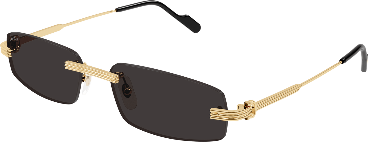 Cartier CT0535S-005 Sunglasses Silver Light Blue Metal Cartier Première CT0271S Sunglasses 005 Shiny Silver - eye  main image 3