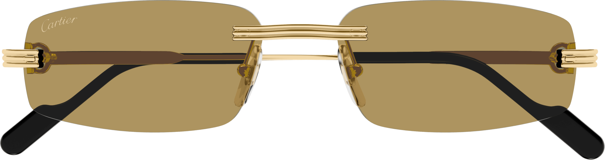 Color_CT0535S-003 - GOLD - BROWN