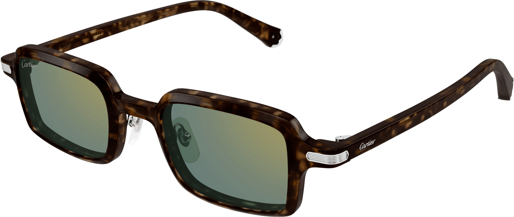 Color_CT0539S-002 - HAVANA - GREEN