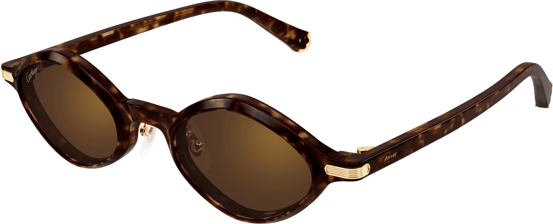Color_CT0540S-002 - HAVANA - BROWN