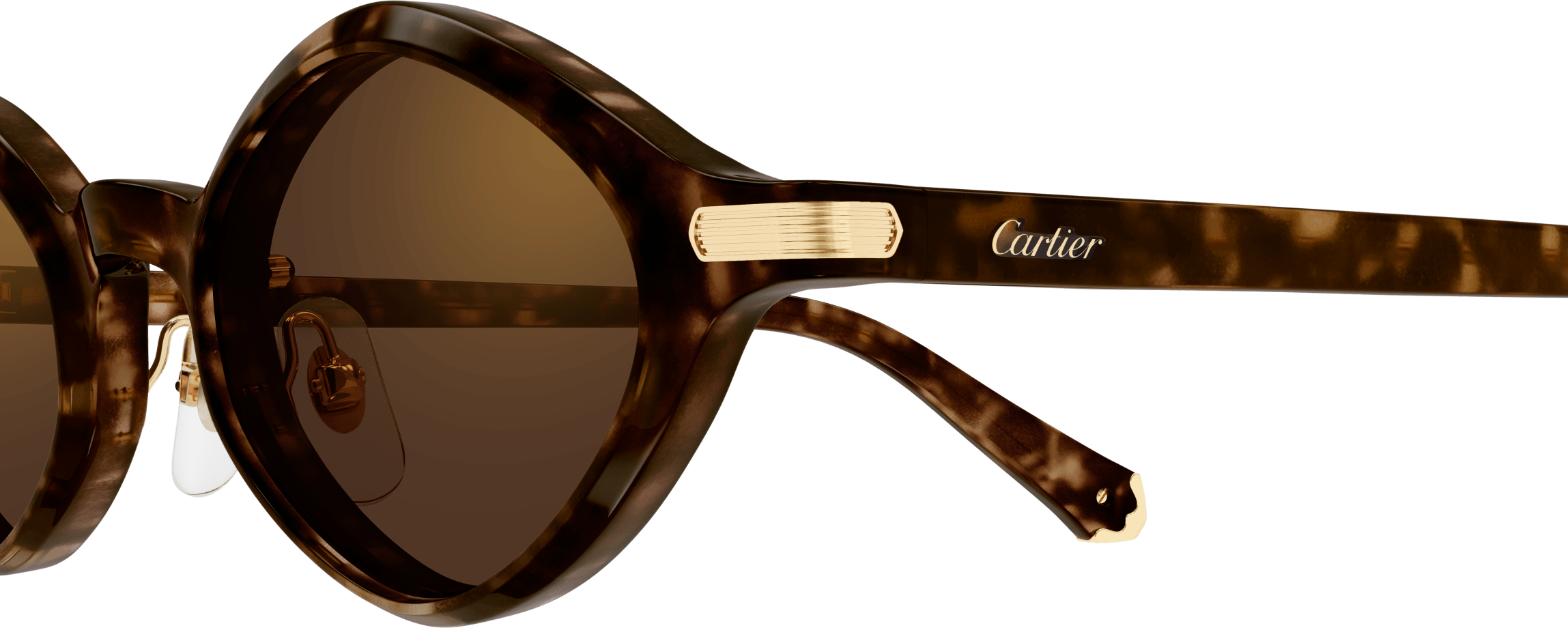 Color_CT0540S-002 - HAVANA - BROWN