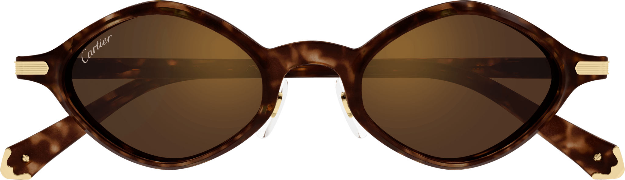 Color_CT0540S-002 - HAVANA - BROWN