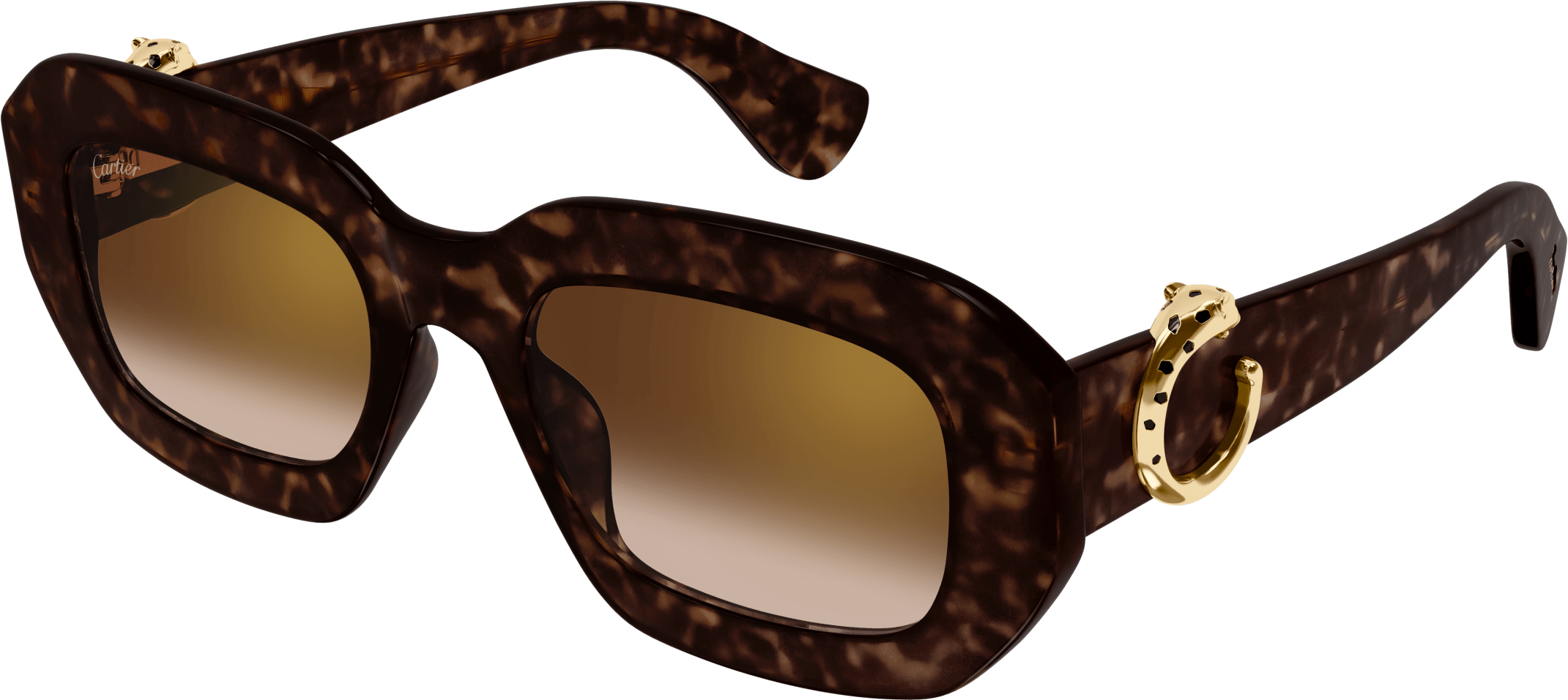 Color_CT0546S-002 - HAVANA - BROWN