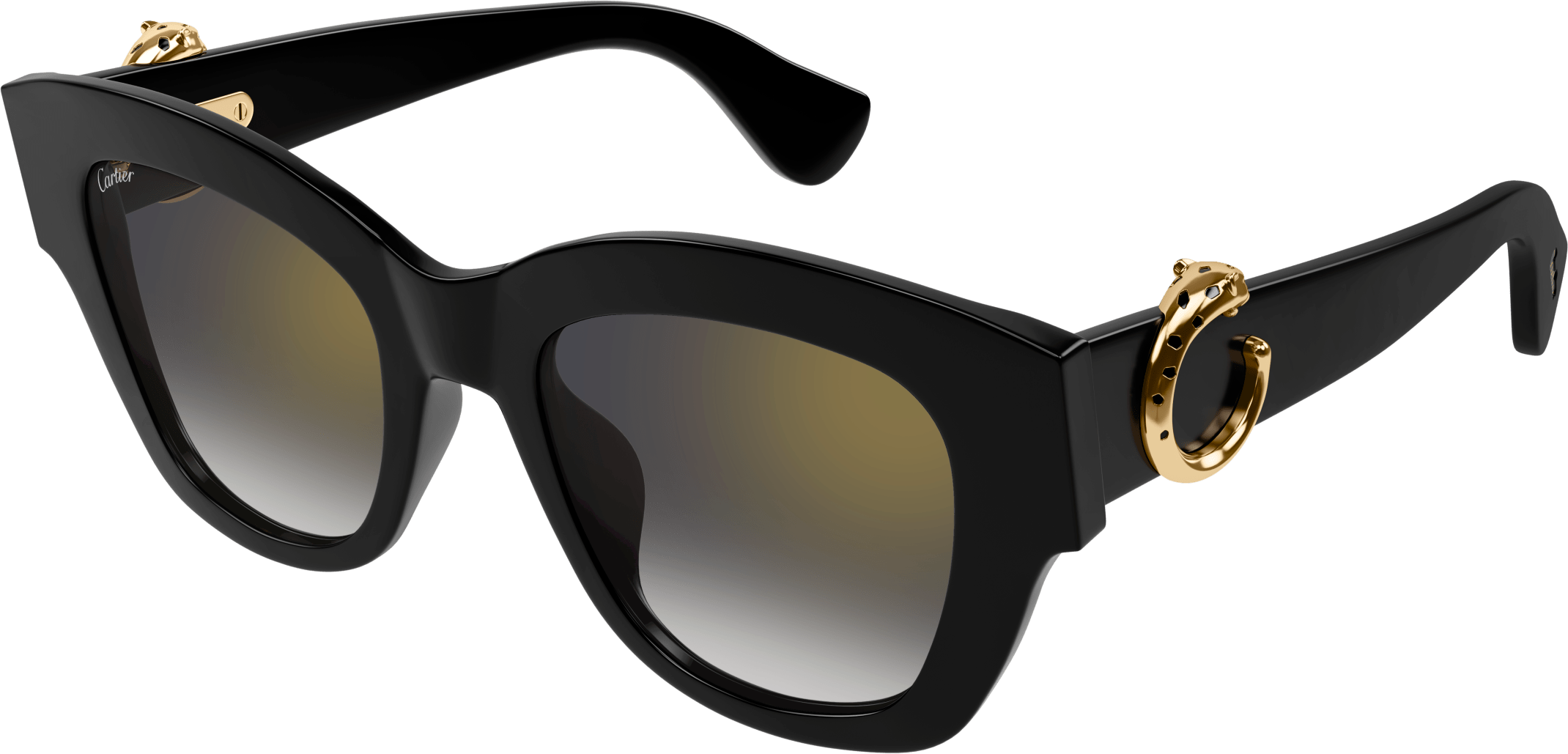 Color_CT0547S-001 - BLACK - GREY