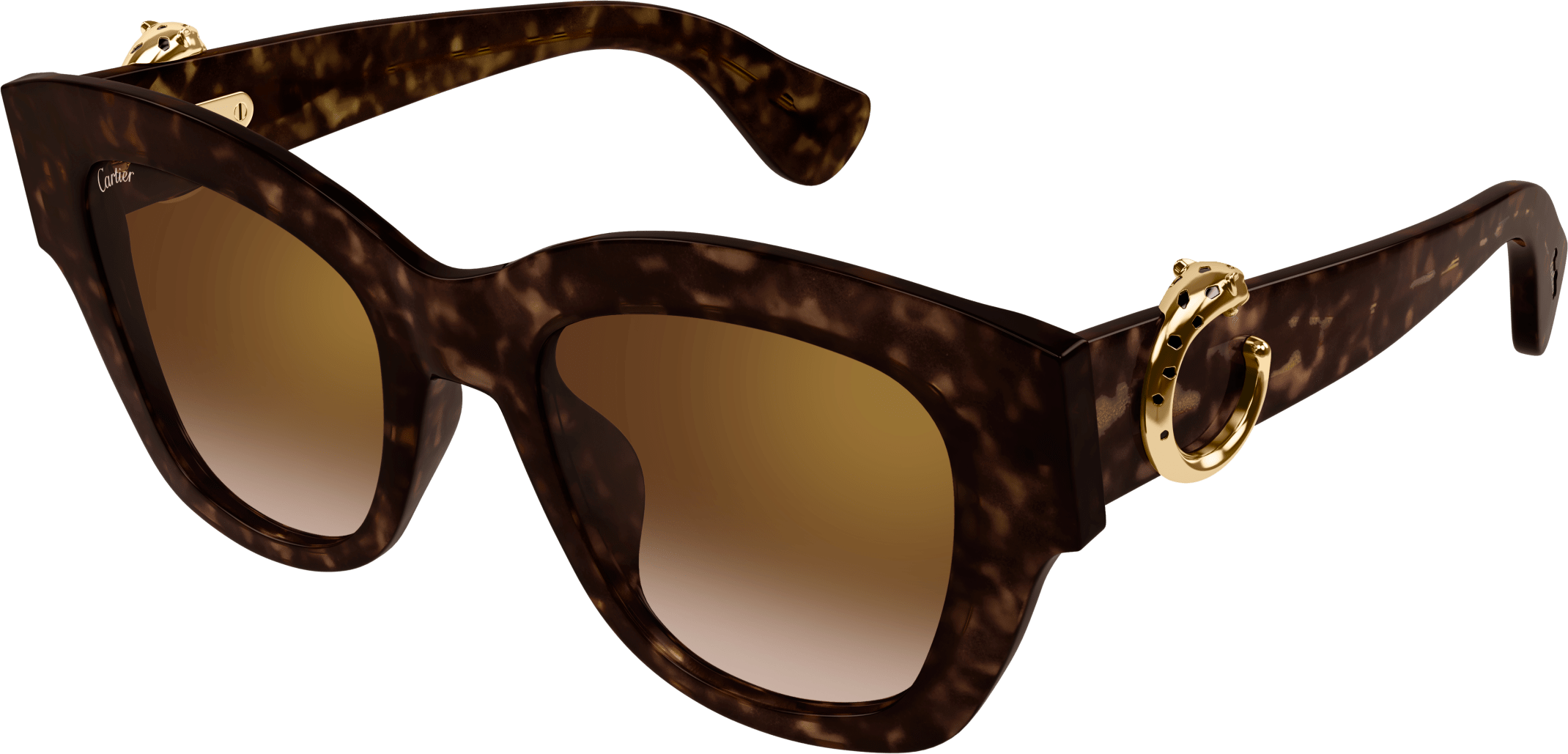 Color_CT0547S-002 - HAVANA - BROWN