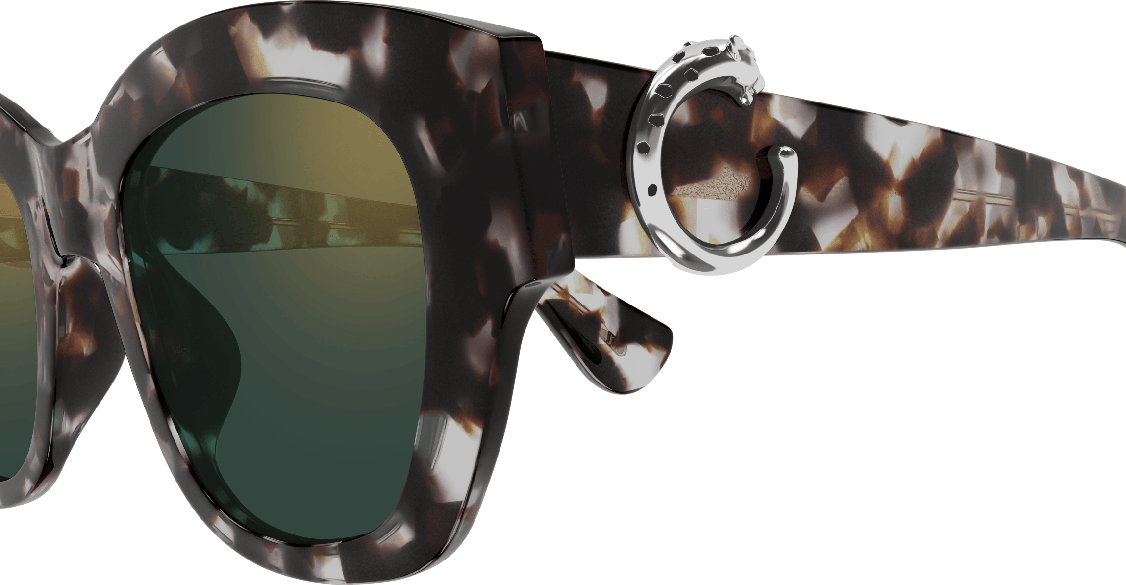 Color_CT0547S-004 - HAVANA - GREEN