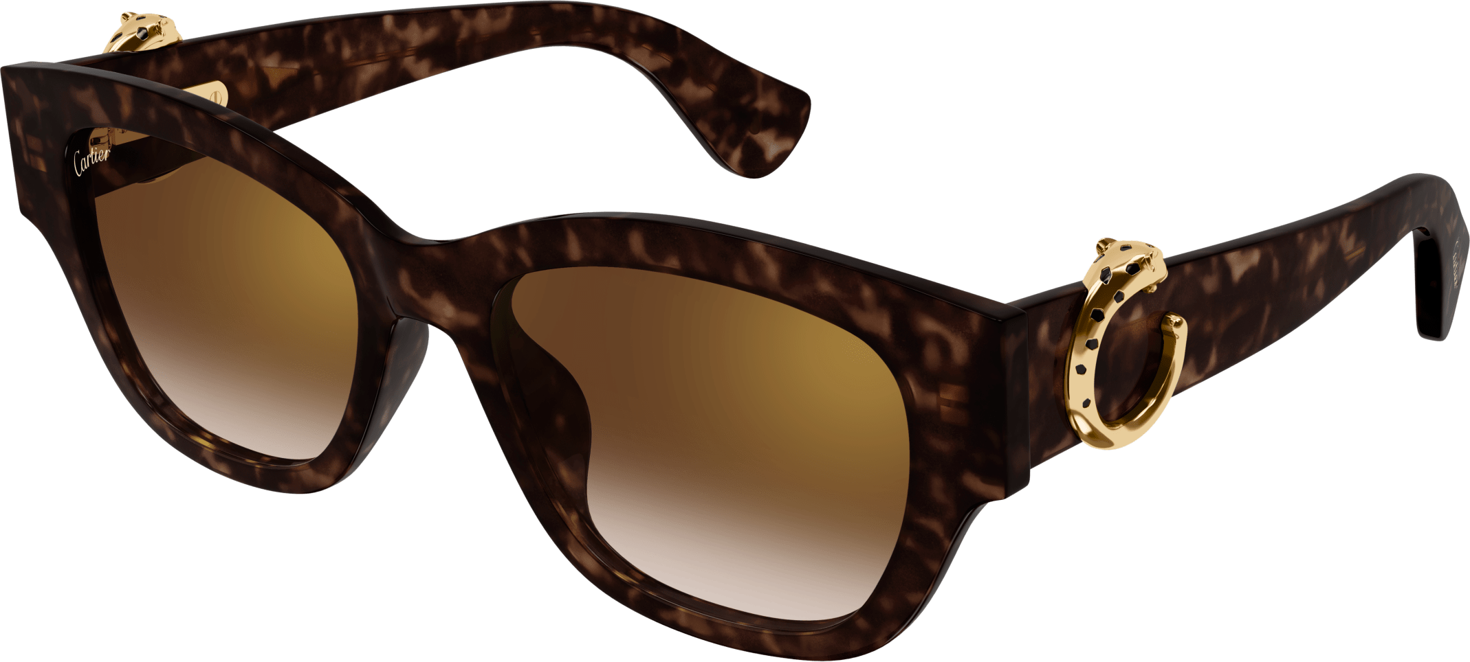 Color_CT0548SA-002 - HAVANA - BROWN