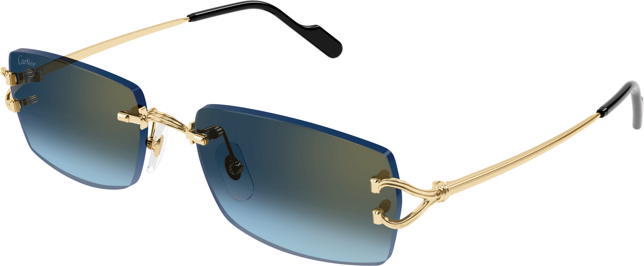 Color_CT0550S-002 - GOLD - BLUE