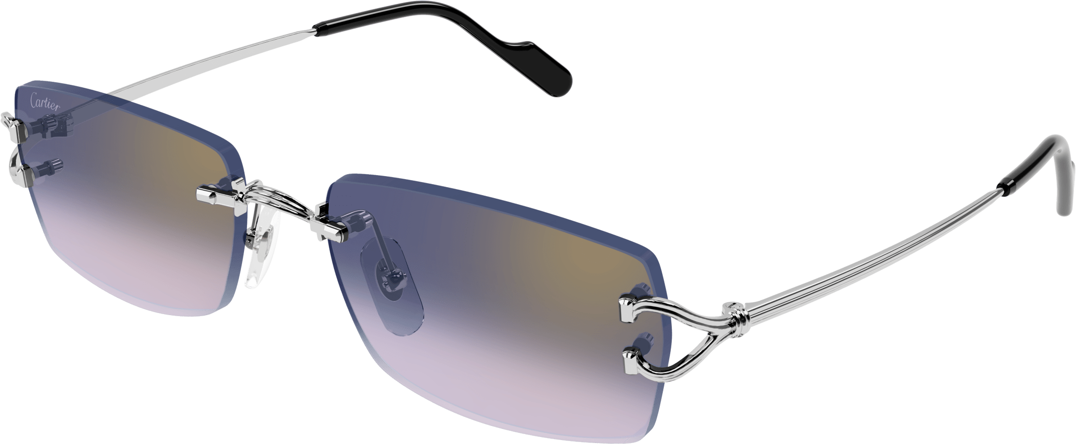 Color_CT0550S-003 - SILVER - BLUE