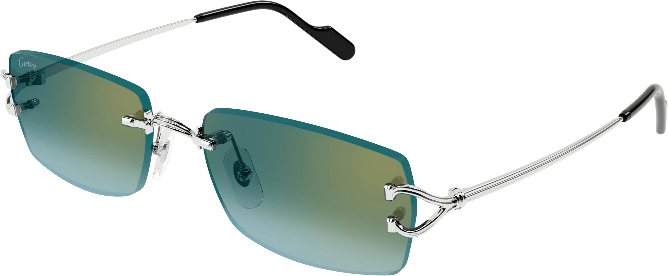 Color_CT0550S-004 - SILVER - GREEN