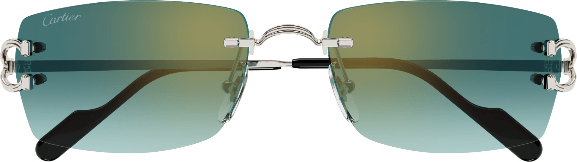 Color_CT0550S-004 - SILVER - GREEN