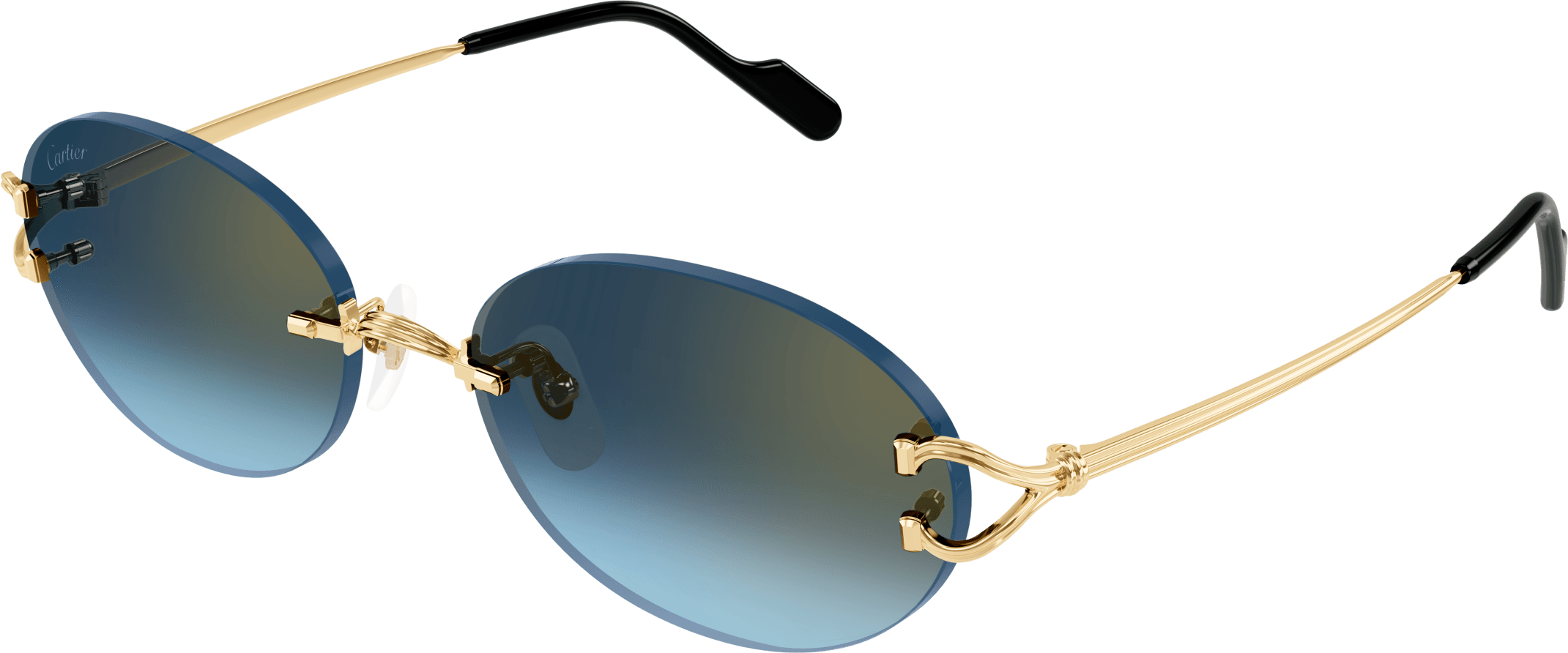 Color_CT0551S-002 - GOLD - BLUE