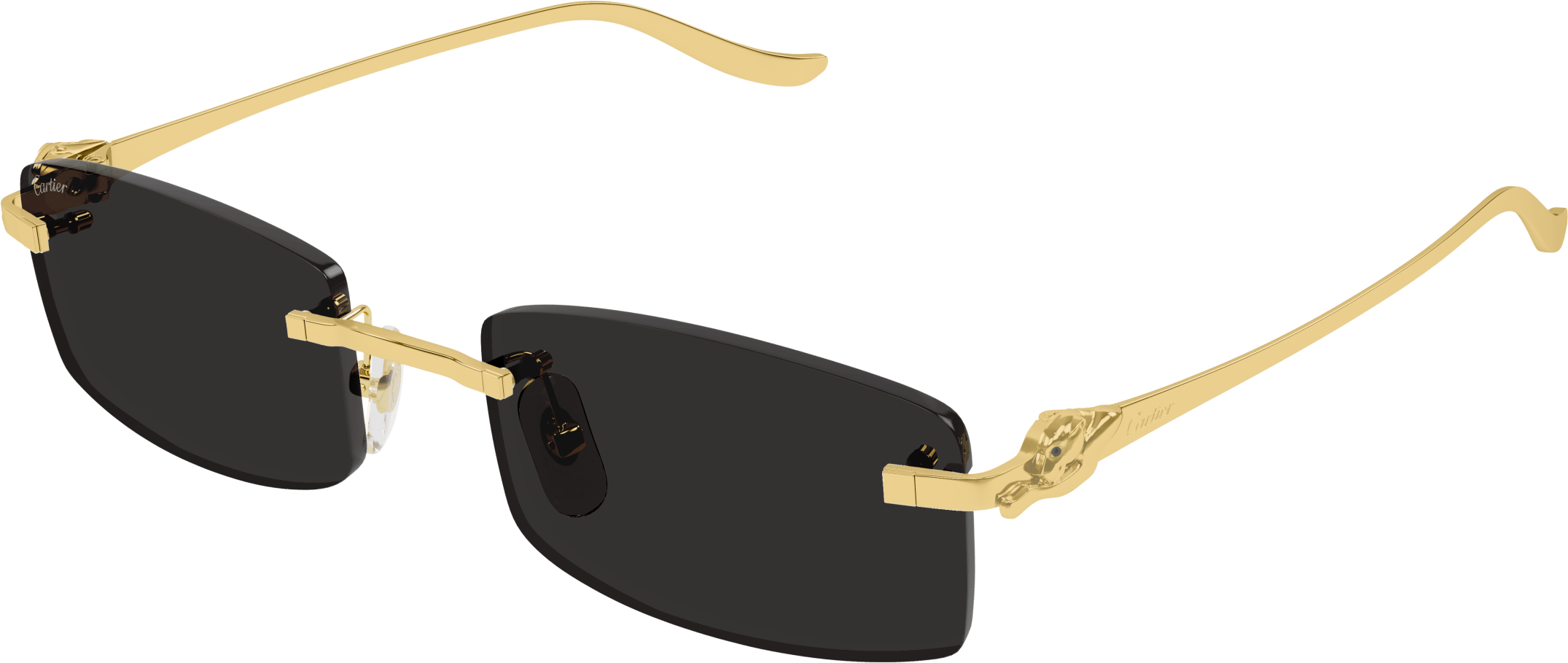 Color_CT0552S-001 - GOLD - GREY