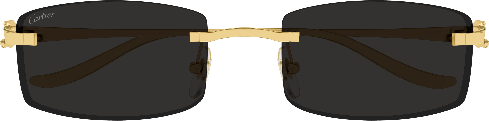 Color_CT0552S-001 - GOLD - GREY