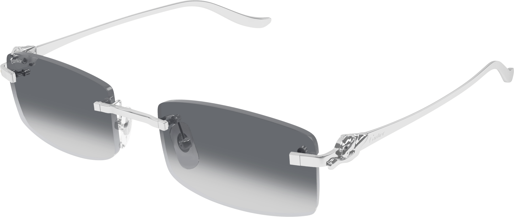 Color_CT0552S-002 - SILVER - GREY