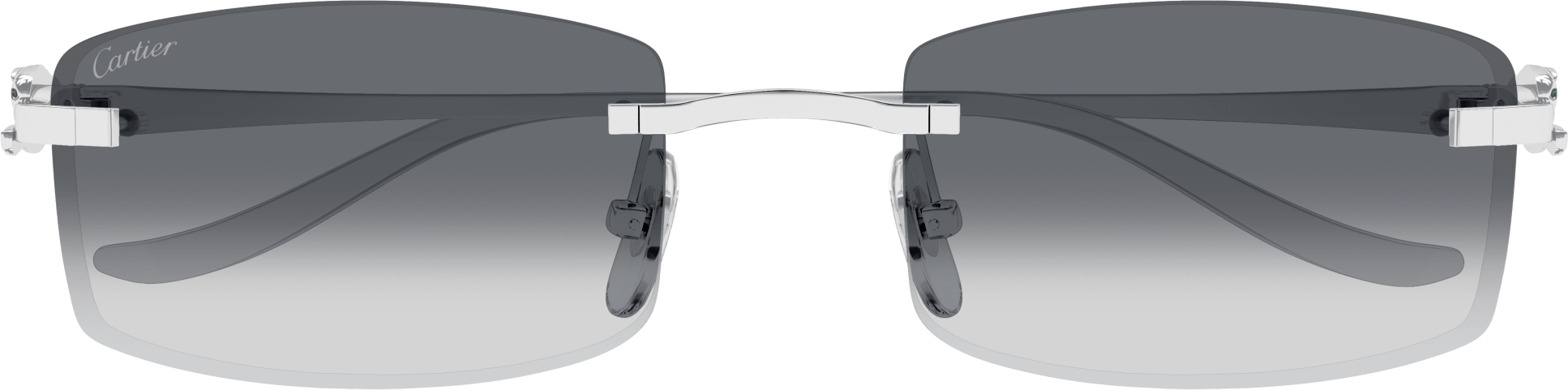 Color_CT0552S-002 - SILVER - GREY