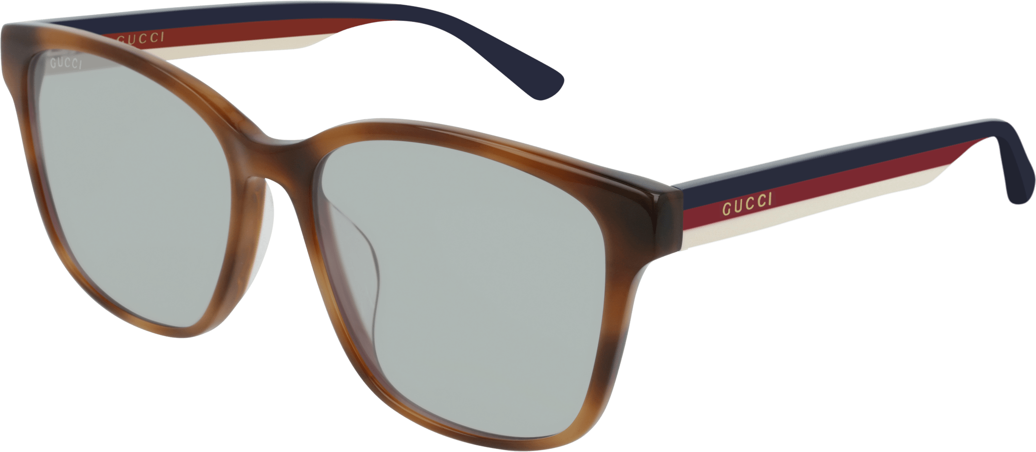 Color_GG0417SK-005 - HAVANA - LIGHT BLUE