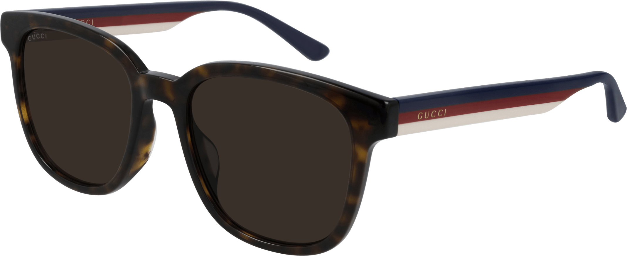 Color_GG0848SK-003 - HAVANA - BROWN