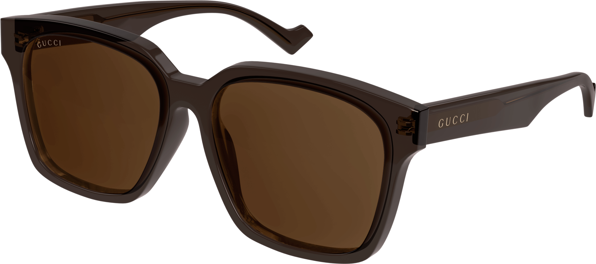 Color_GG0965SA-003 - BROWN - BROWN