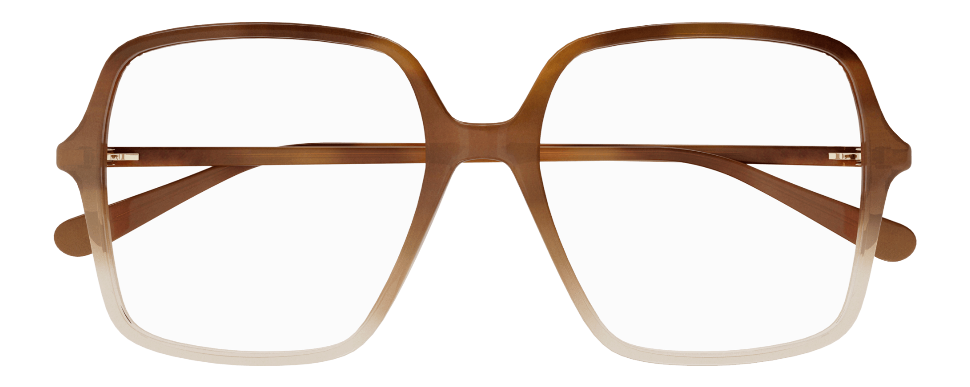 Color_GG1003OA-003 - BROWN - TRANSPARENT