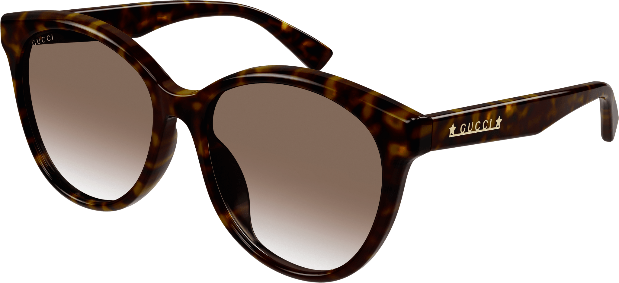 Color_GG1171SK-003 - HAVANA - BROWN