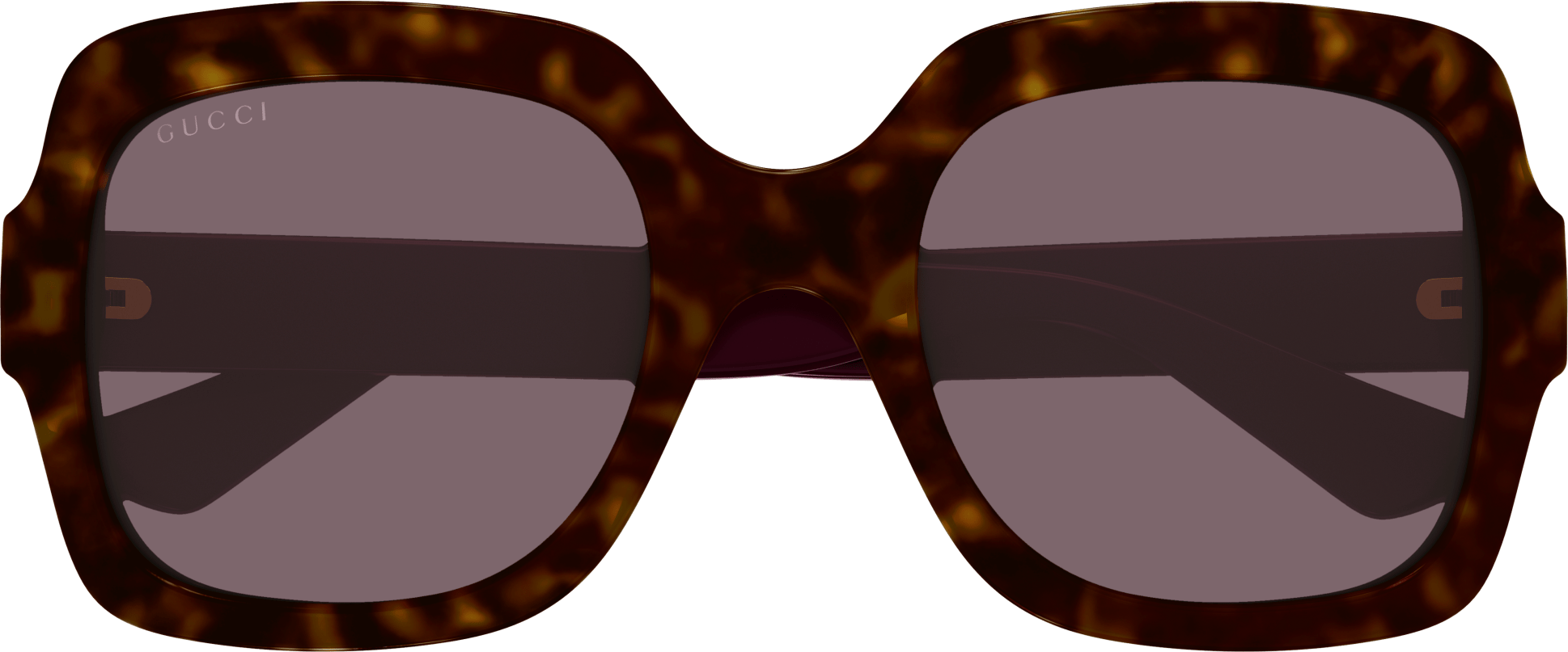 Color_GG1337S-009 - HAVANA - VIOLET