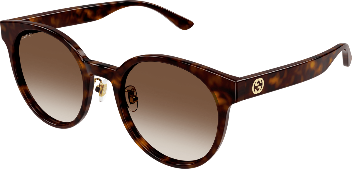 Color_GG1339SK-003 - HAVANA - BROWN