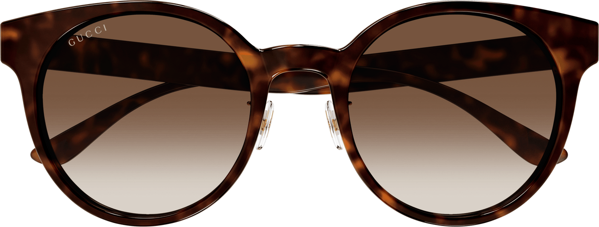 Color_GG1339SK-003 - HAVANA - BROWN