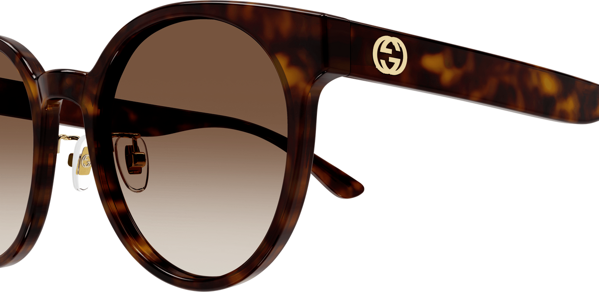 Color_GG1339SK-003 - HAVANA - BROWN