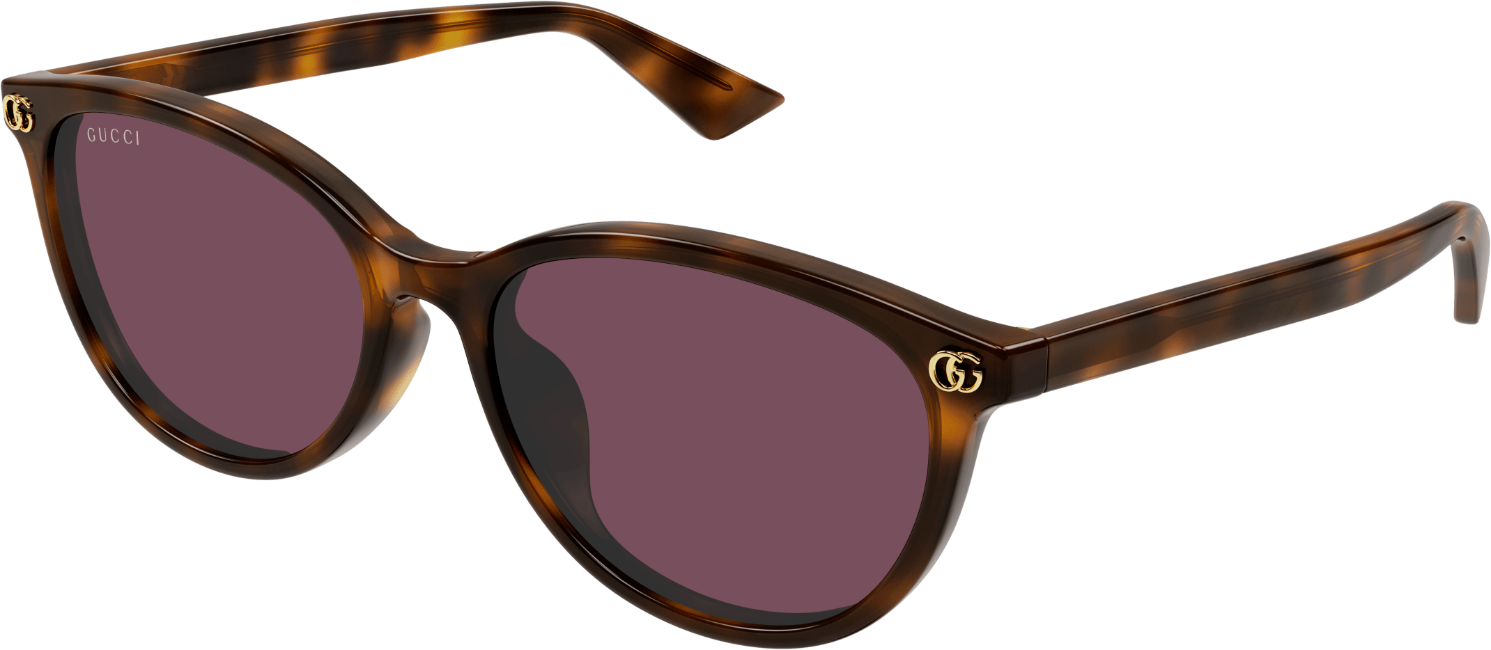 Color_GG1818SK-002 - HAVANA - VIOLET