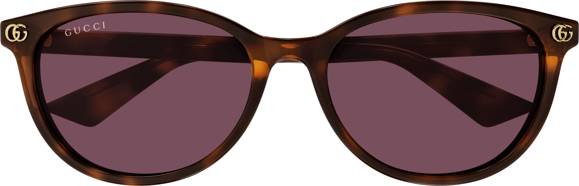 Color_GG1818SK-002 - HAVANA - VIOLET