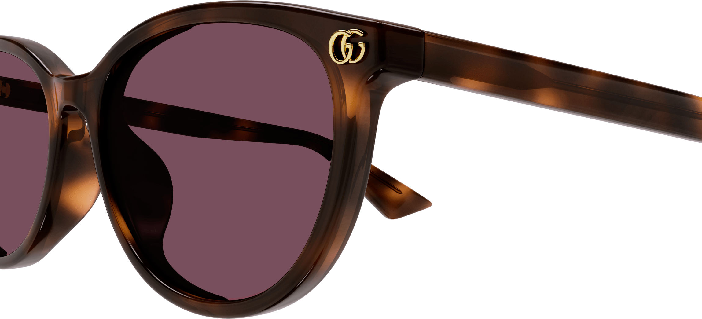 Color_GG1818SK-002 - HAVANA - VIOLET