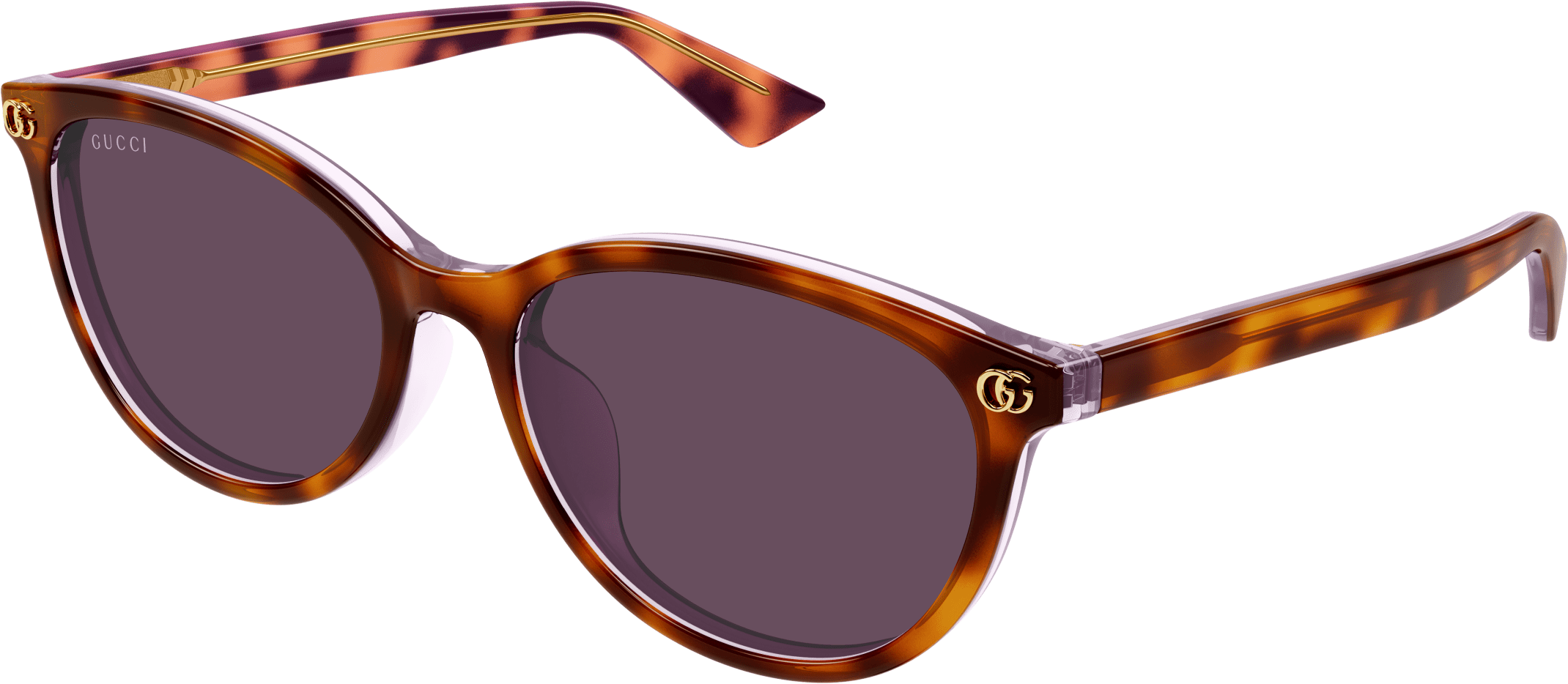 Color_GG1818SK-004 - HAVANA - VIOLET