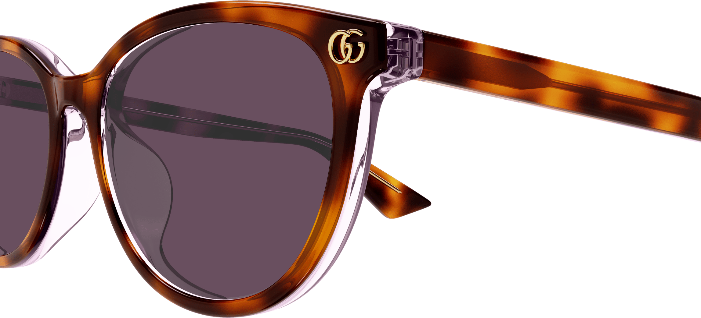 Color_GG1818SK-004 - HAVANA - VIOLET