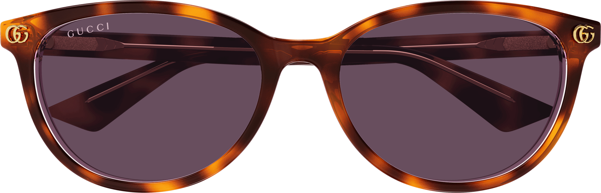 Color_GG1818SK-004 - HAVANA - VIOLET