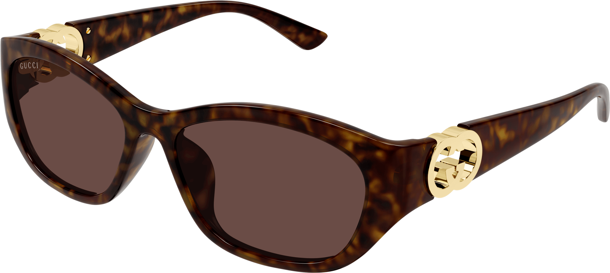 Color_GG1826SK-002 - HAVANA - BROWN