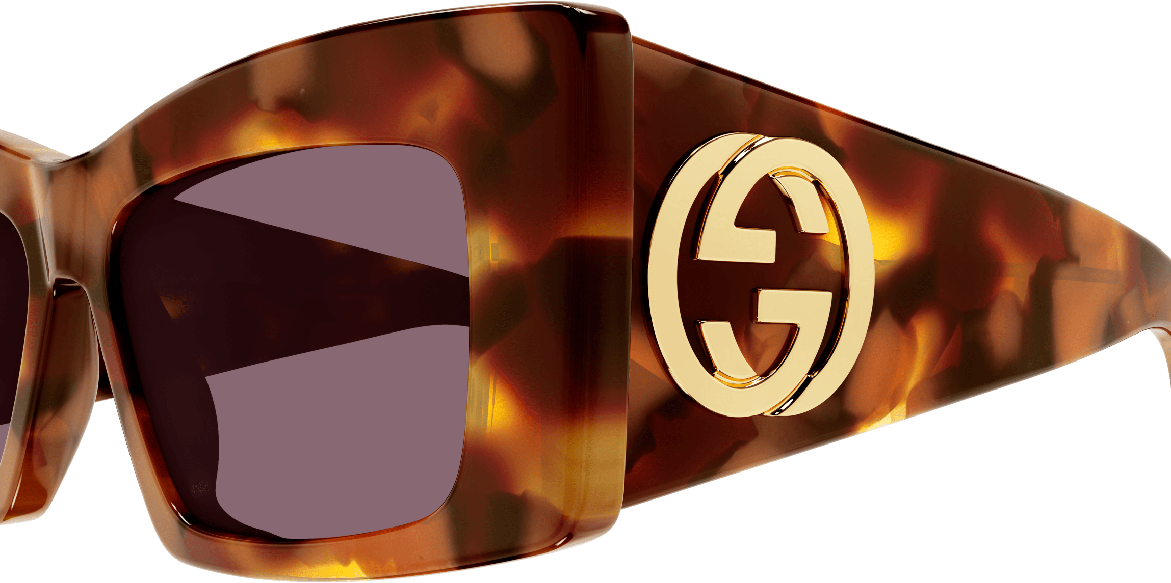 Color_GG1842S-003 - HAVANA - VIOLET