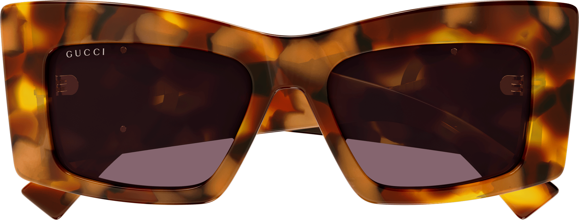 Color_GG1842S-003 - HAVANA - VIOLET