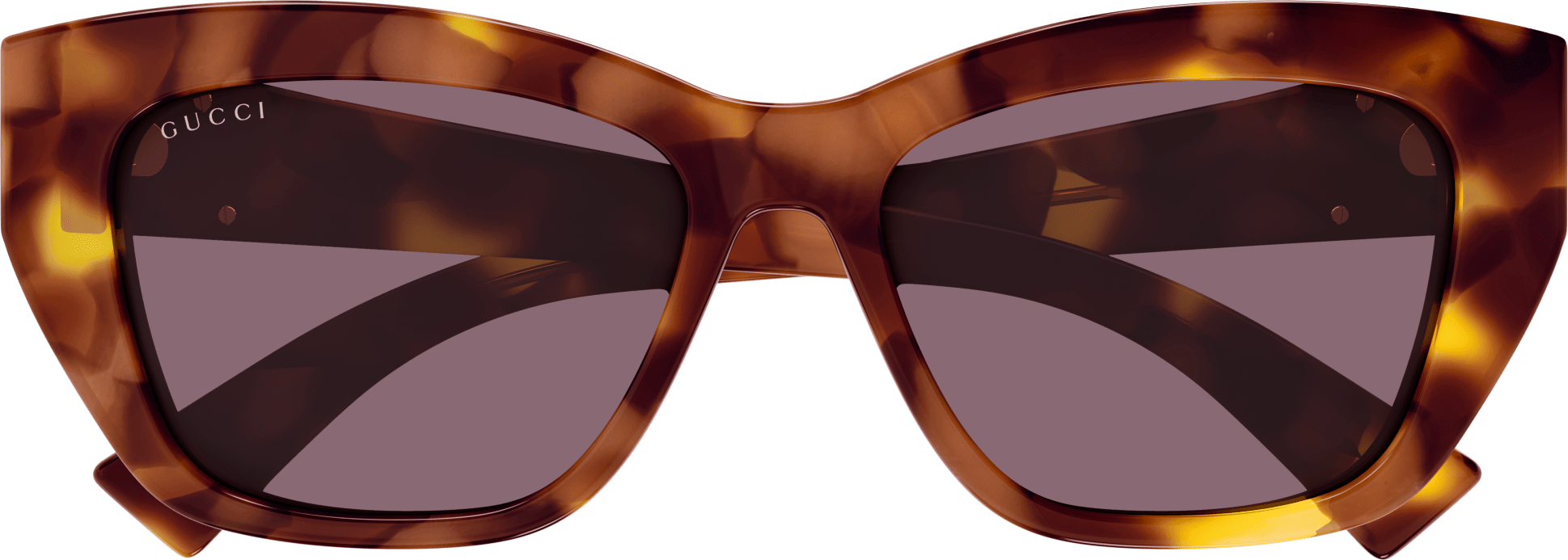 Color_GG1844SA-003 - HAVANA - VIOLET