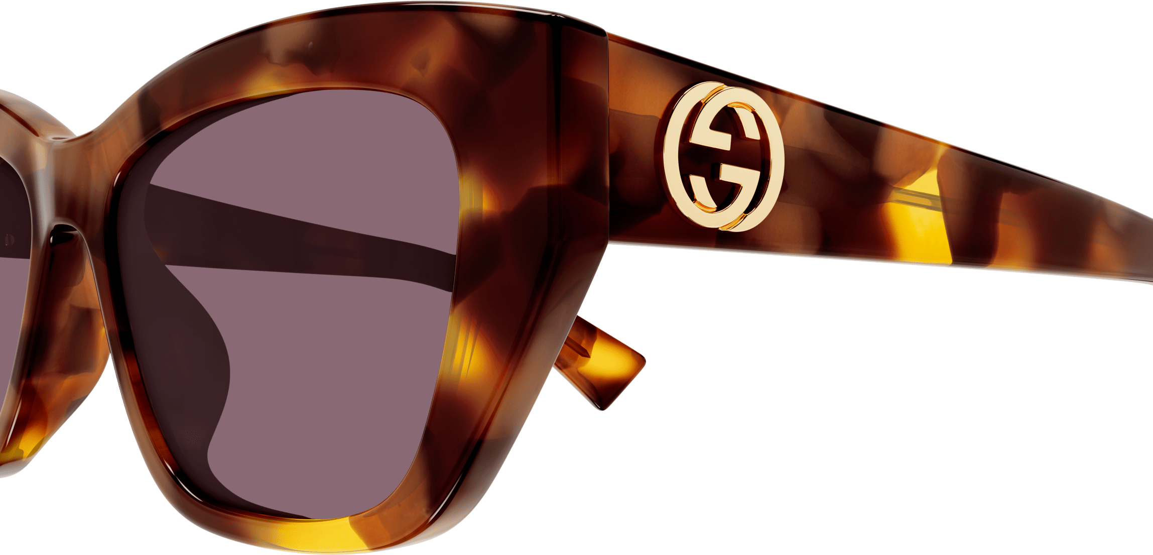 Color_GG1844SA-003 - HAVANA - VIOLET