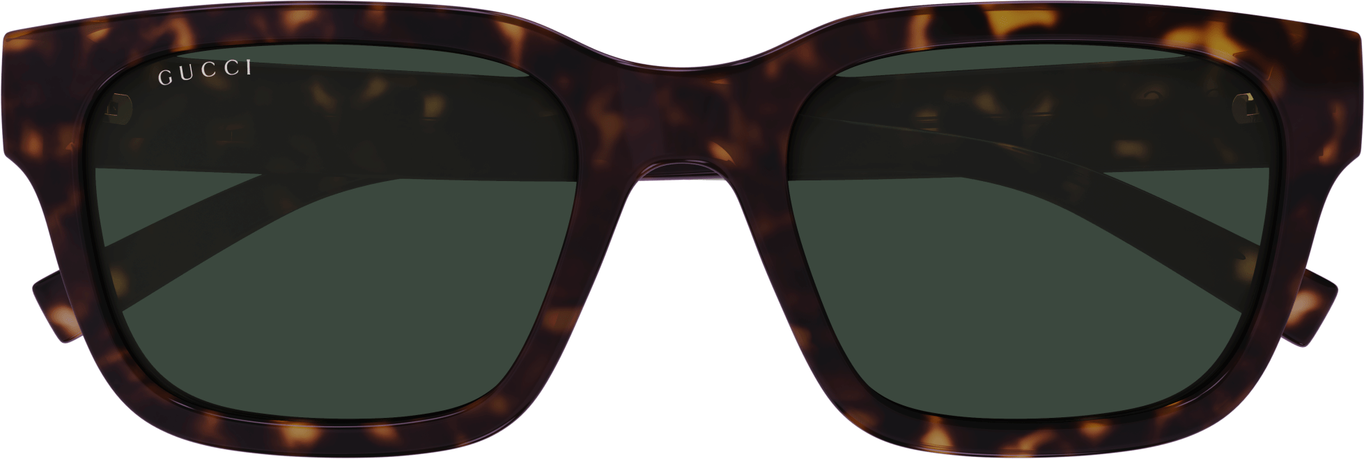 Color_GG1857SK-002 - HAVANA - GREEN