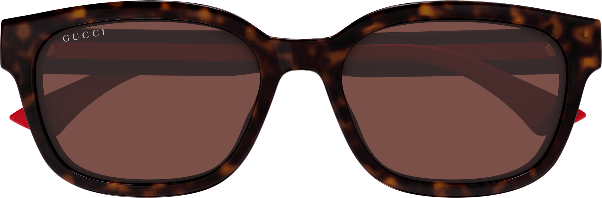 Color_GG1872SK-002 - HAVANA - BROWN