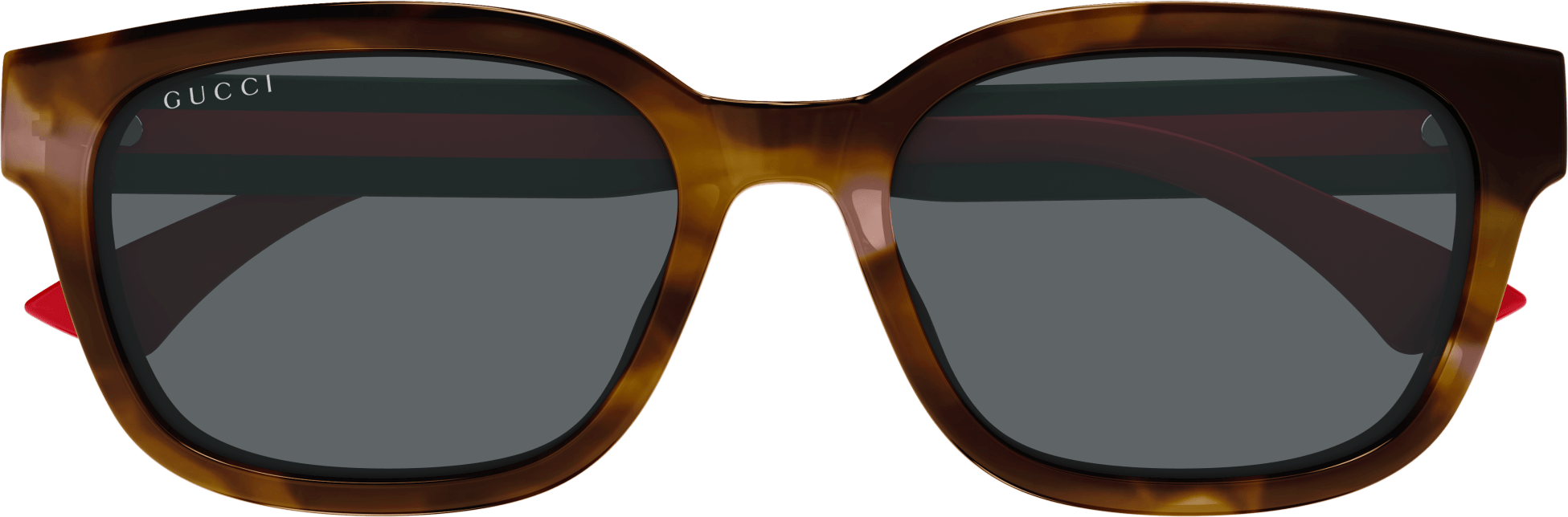 Color_GG1872SK-003 - HAVANA - GREEN