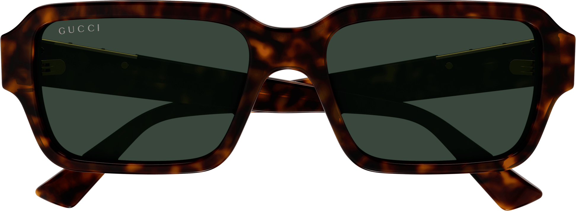 Color_GG1887S-002 - HAVANA - GREEN