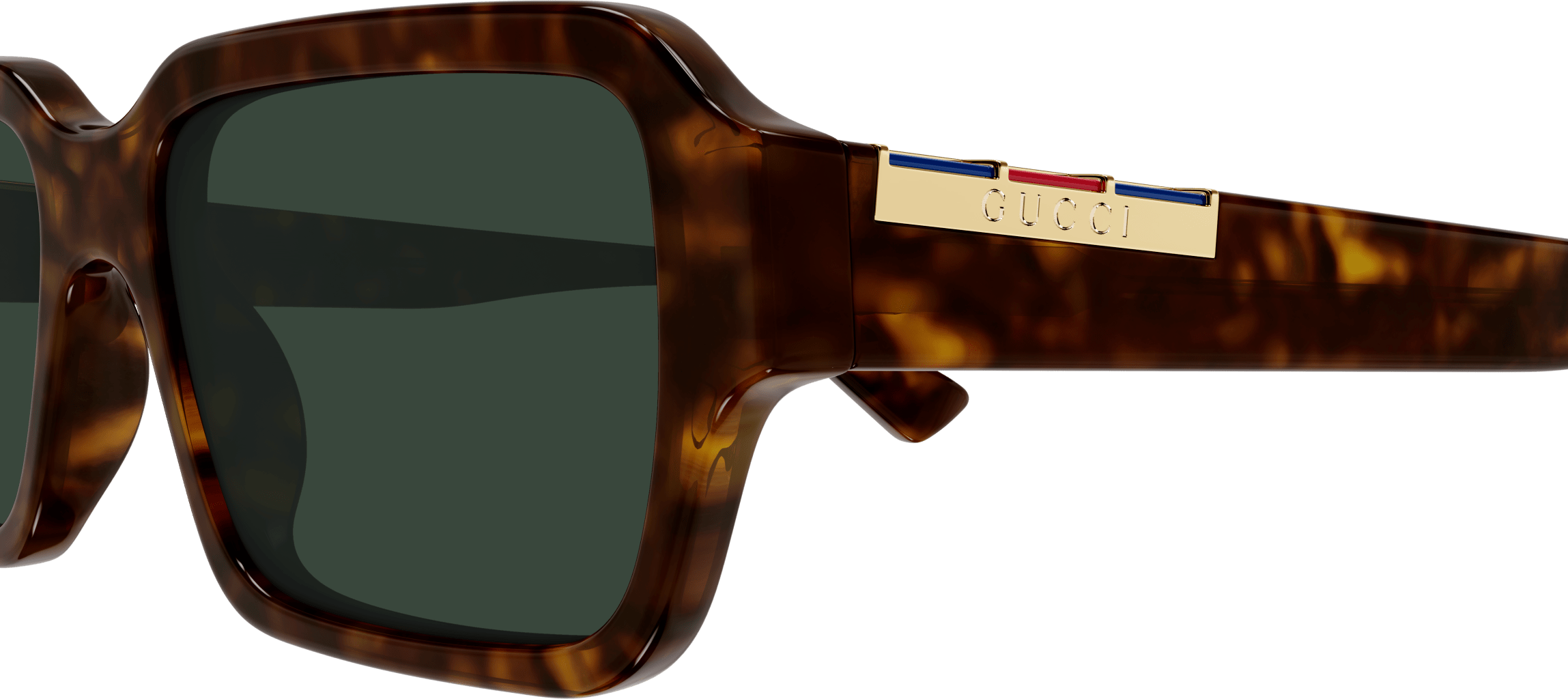 Color_GG1887S-002 - HAVANA - GREEN