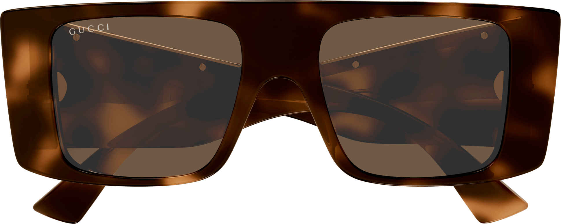 Color_GG1888S-002 - HAVANA - BROWN