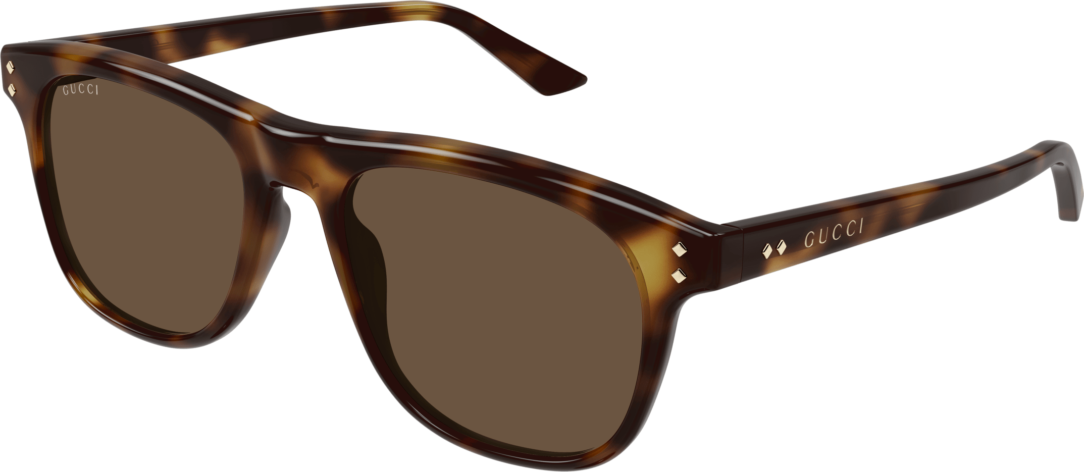 Color_GG1893S-002 - HAVANA - BROWN