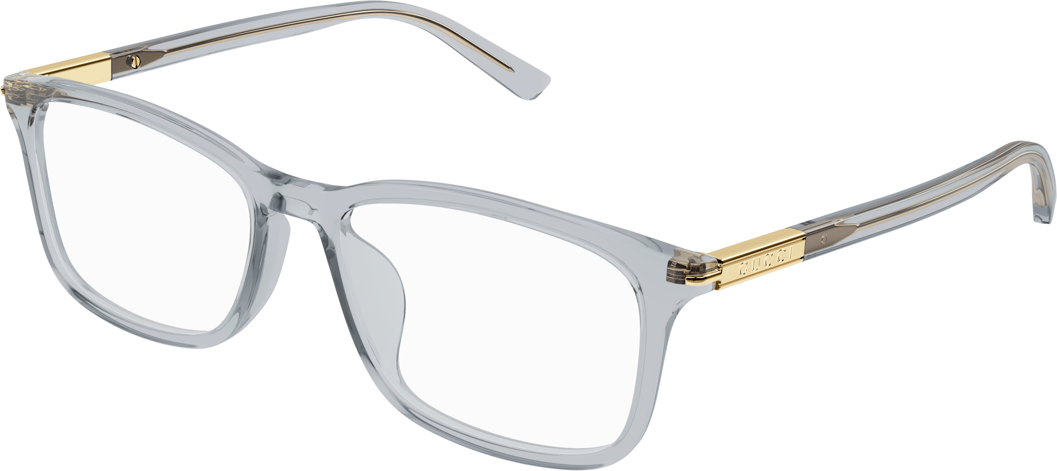 Color_GG1900OA-003 - GREY - TRANSPARENT