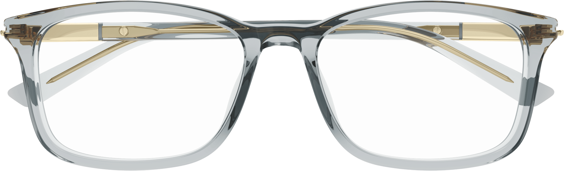Color_GG1900OA-003 - GREY - TRANSPARENT