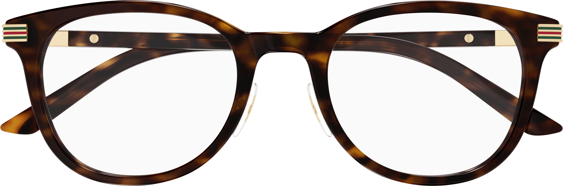 Color_GG1905OJ-002 - HAVANA - TRANSPARENT